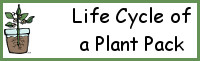 Life Cycle of a Plant Pack