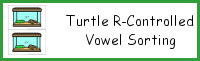 Turtle R-Controlled Vowel Sorting