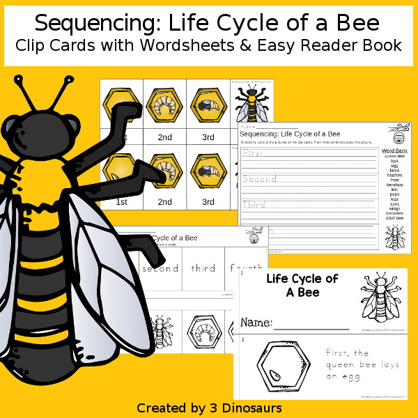 Life Cycle of a Bee Sequencing - with writing, reading, order of event cards, clip cards, cut and paste and more. The sequencing has four steps - 3Dinosaurs.com