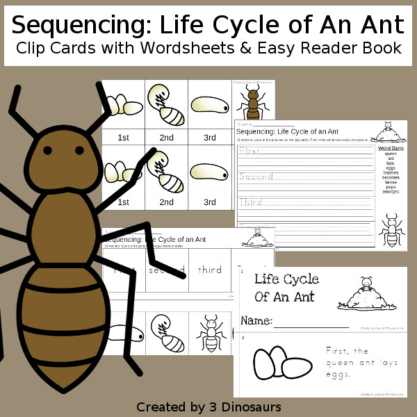 Sequencing: Life Cycle of an Ant with clip cards, task cards, no-prep worksheets and easy reader books $ - 3Dinosaurs.com #printablesforkids #sequencingforkids #earthday #springprintables #tpt #teacherspayteachers