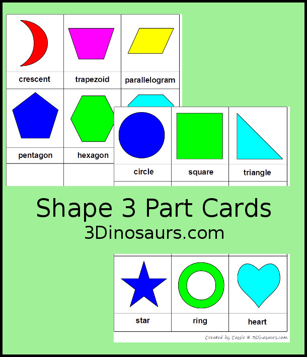 Shape 3 Part Cards - 3Dinosaurs.com