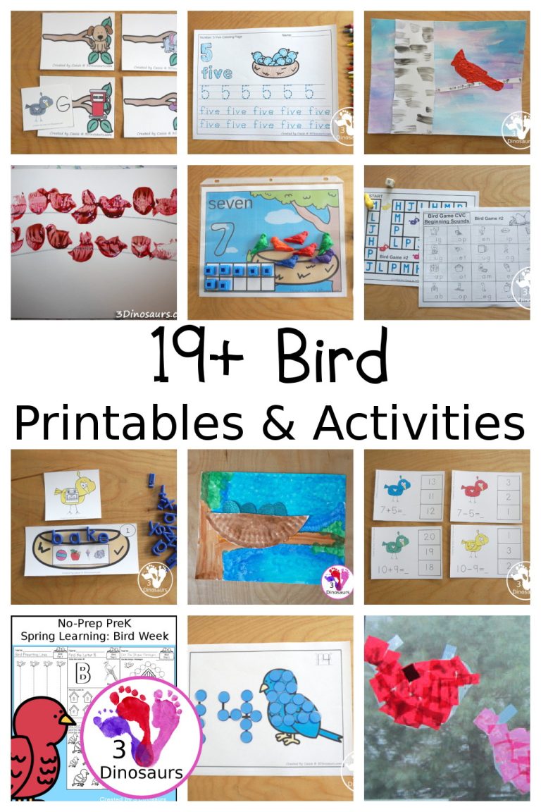 19+ Bird Printables & Activities For Kids