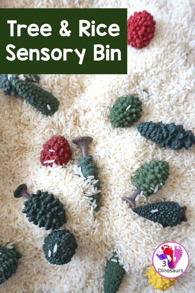 Tree & Rice Sensory Bin