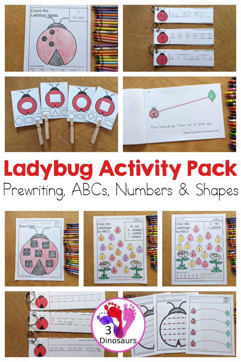 Ladybug Activity Pack: Prewriting, Numbers, Shapes And ABCs