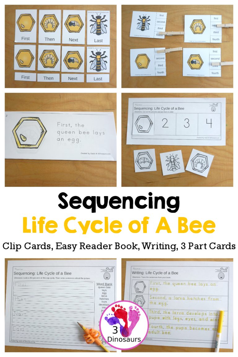 Sequencing: Life Cycle of a Bee